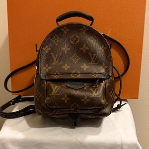 Louis Vuitton Palm Springs Mini